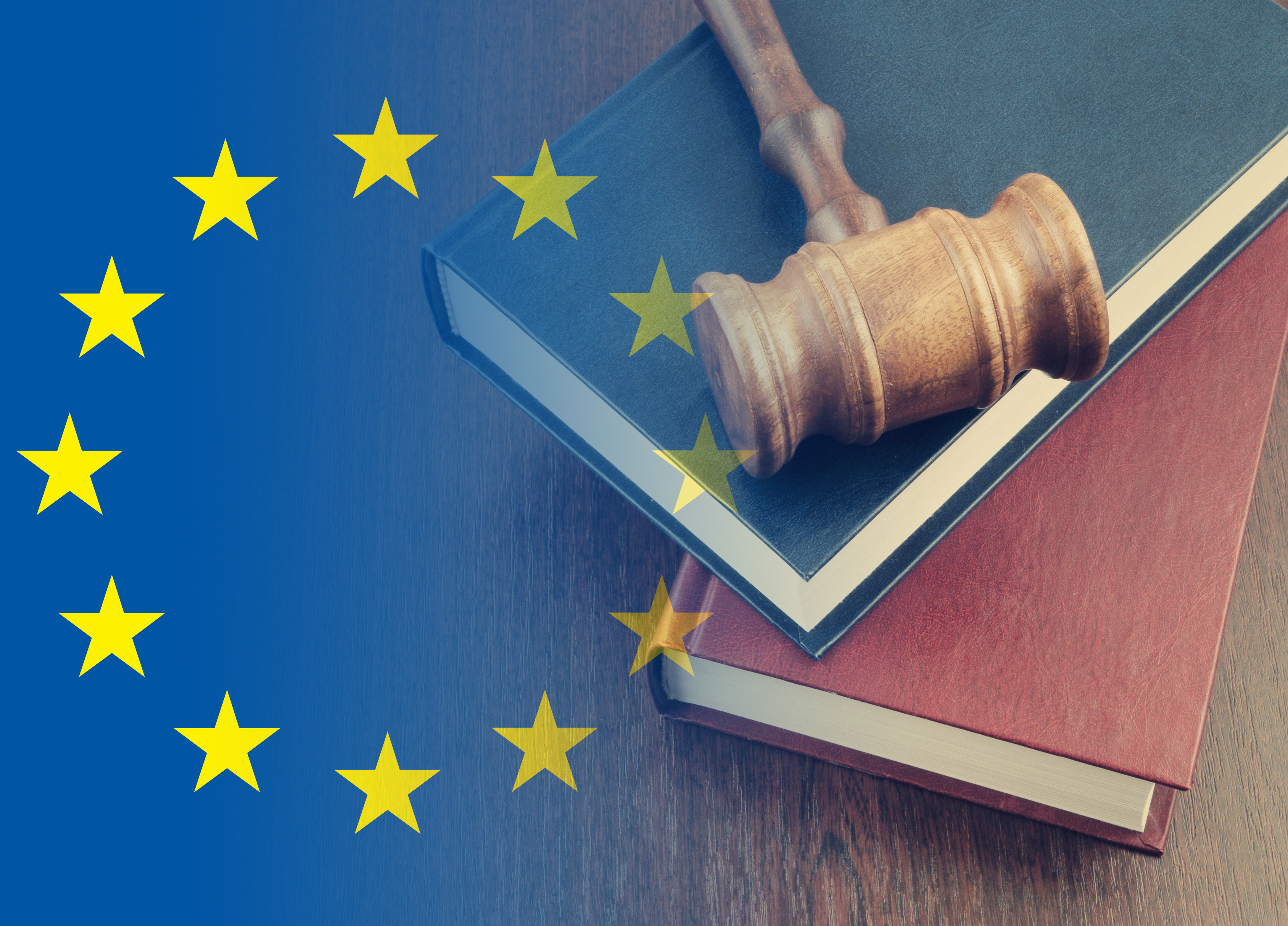 Europa en verenigingen - de GDPR in de Commissie Cultuur