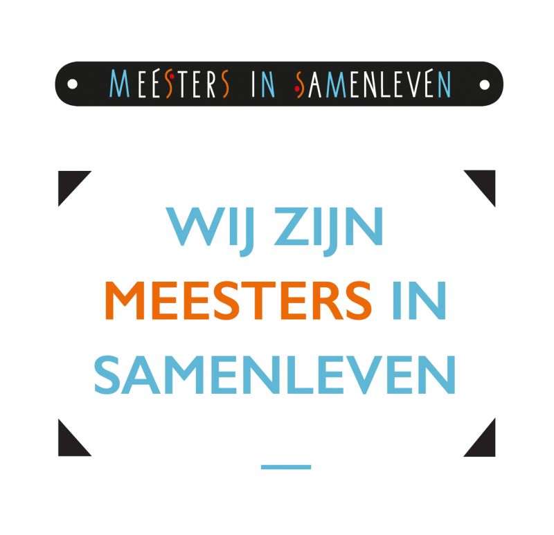 MIS tegel website 12 002