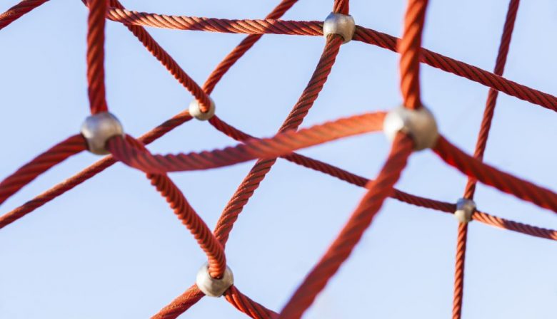 Kracht en valkuilen van netwerksamenwerking - verslag